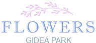 Flowers Gidea Park RM2 | Cheap Flowers Delivered